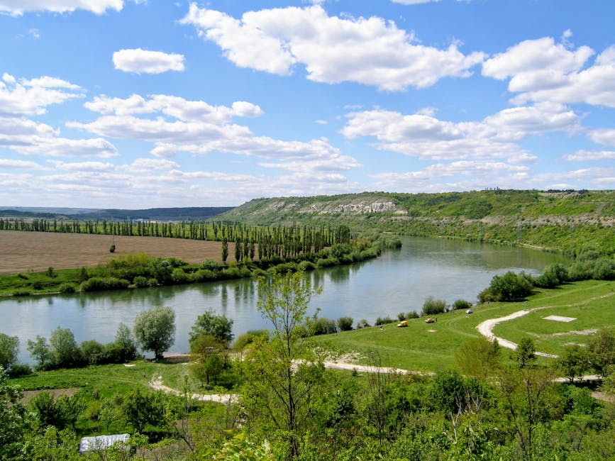 Participanţi la o activitate comunitară în aer liber