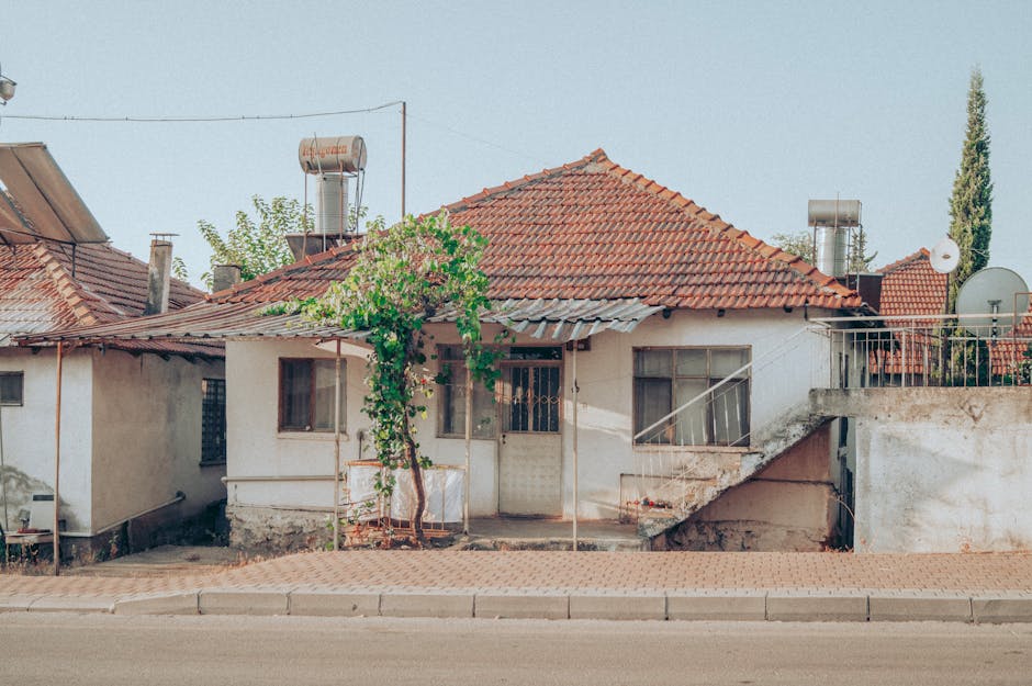 Peisaj local care încadrează viaţa comunitară din Cărpineni